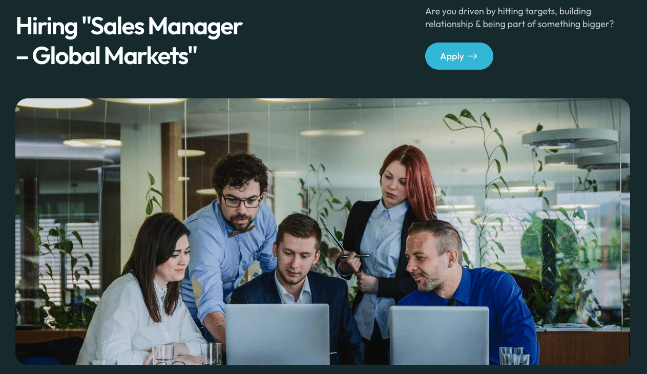 Hiring Sales Manager